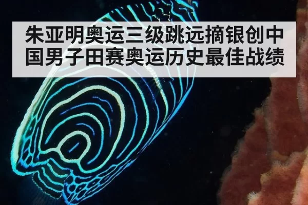 朱亚明奥运三级跳远摘银创中国男子田赛奥运历史最佳战绩