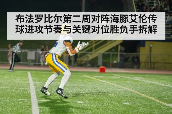american football receiver catch